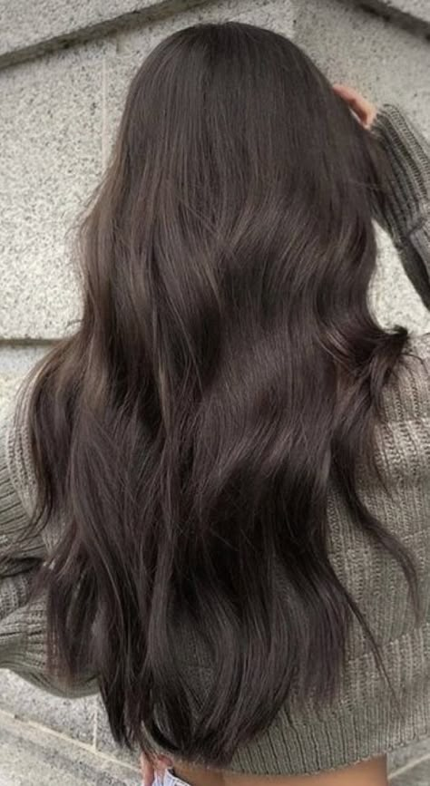 Winter Hair Color Ideas, Korean Winter, Winter Hair Color, Winter Hair, Dark Brown Hair, Hair Color Ideas, Brown Hair, Long Hair, Dark Brown