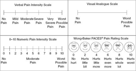 Pain Scale For Tats, Pain Assessment Tool, Proficiency Scales In The Classroom, Pain Scale 1-10, Proficiency Scales, Systematic Review, Jacksonville University, Pain Assessment, Hurt Pain