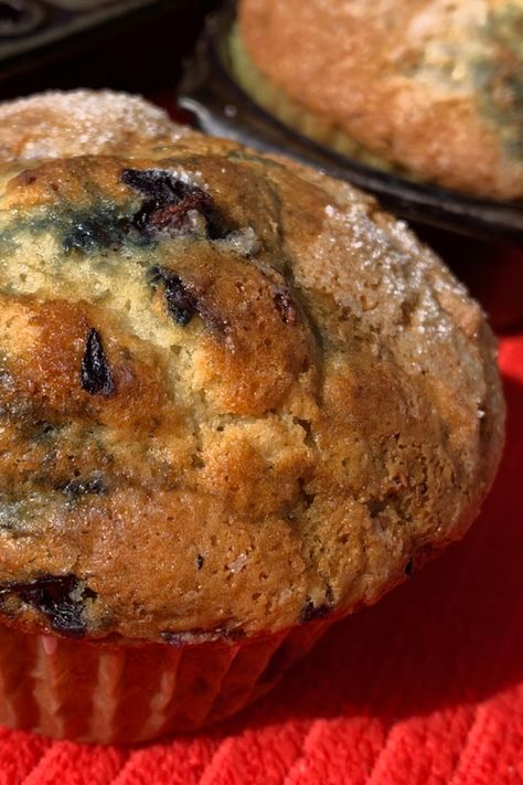 Wild Berry Muffins, Maple Syrup Blueberry Muffins, Wild Blueberry Muffins, Frozen Wild Blueberry Muffins, Wild Blueberry Muffins Healthy, Blueberry Muffin Topping, Perfect Blueberry Muffin Loaf Smitten, Molasses Muffins, Blueberry Muffins Smitten Kitchen