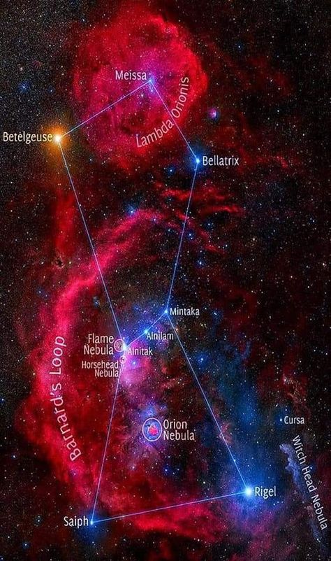 Red Nebula, Rosette Nebula, Horsehead Nebula, Orange Star, Astronomy Pictures, Hubble Images, Space Facts, Stars In The Sky, Orion Nebula