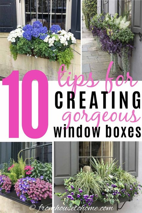 10 Tips For Designing Gorgeous Window Boxes | Gardening Ideas Ferns In Window Boxes, Flower Box Ideas, Planter Boxes Flowers, Flower Combinations, Impatiens Plant, Window Box Plants, Window Box Garden, Porch Flowers, Window Box Flowers