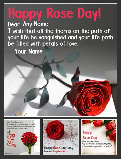 Rose Day Wishes For Girlfriend, Rose Day Messages For Him, Rose Day Wishes For Him, Rose Day Quotes For Girlfriend, Special Quotes For Her, Rose Day Special, Rose Day Wishes, Academia Quotes, Happy Rose Day