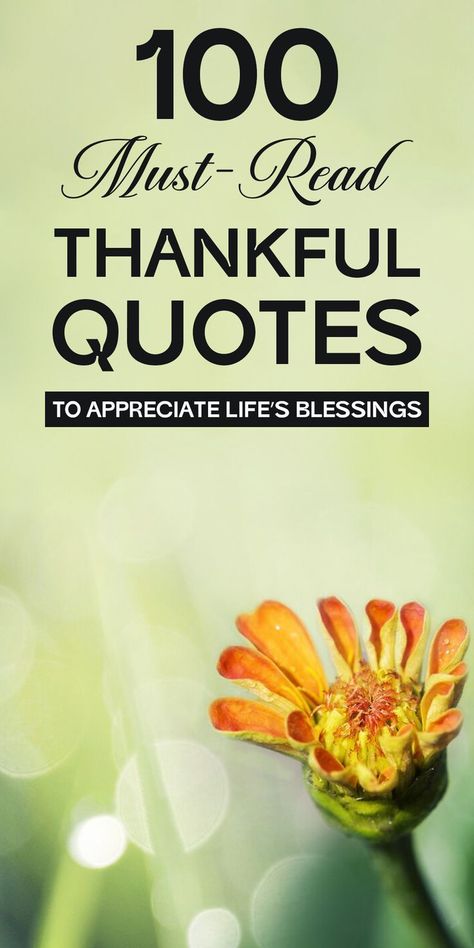 100 Best Thankful Quotes to Celebrate Gratitude So Thankful For You Quotes, Verses For Thankfulness, Thank You Notes Wording Gratitude, Thankful For You Quotes, Motivational Quotes For Success Short, Quotes On Hard Work, Thank You Note Wording, Motivational Quotes For Life Positivity, Thank You Quotes Gratitude