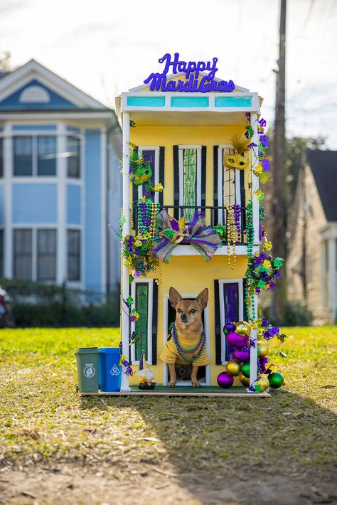 Mardi Gras Parade Float, Mardi Gras Photos, Mardi Gras Dog, New Orleans Christmas, Mardi Gras Party Decorations, Mardi Gras Float, Dog Parade, Mardi Gras Costumes, Mardi Gras Parade