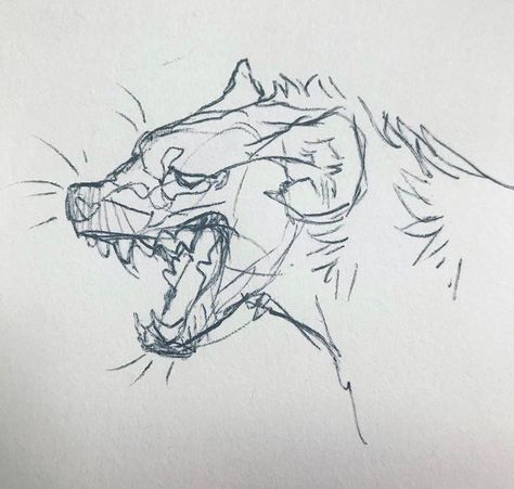 Hyena Teeth Reference, How To Draw Hyena, Hyena Art Drawings, Deer Nose Drawing, Hyena Side Profile, Dog Side Profile Drawing, Hyena Anatomy, Hyena Sketch, Hyena Drawing