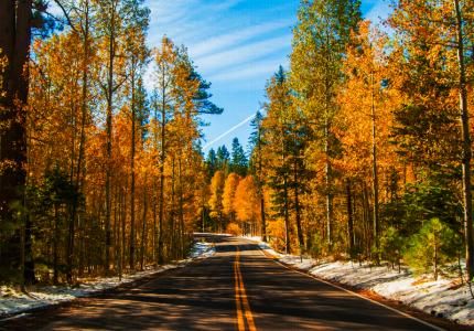 For Leaf Peepers and those just seeking some peace of mind, Fall is one of the best times to visit Lake Tahoe. The summer crowds have retreated, towns are quiet, winds are calm, and it’s often warm and sunny to boot.  Cooler evenings turn the sky ultra-blue, and turn the leaves into brillia Lake Tahoe In October, Fallen Leaf Lake Tahoe, Lake Tahoe Fall, Tahoe Trip, Truckee River, Gorges State Park, Great Basin National Park, Autumn Weather, Hope Valley