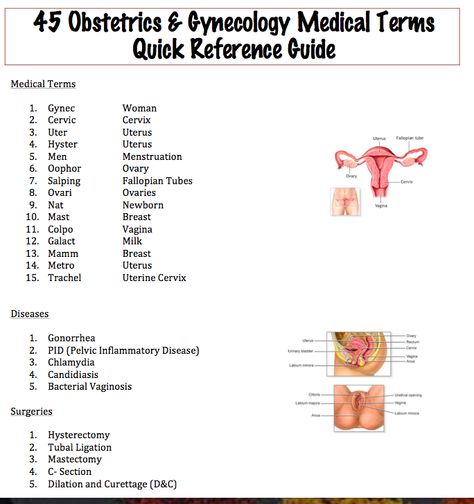 Easy Medical Terminology: 45 Obstetrics & Gynecology Medical Terms Quick Ref... Obgyn Medical Assistant, Obgyn Nursing Notes, Obgyn Notes Nursing Schools, Gynecology Notes, Obgyn Medical Terminology, Gynecologist Exam, Obgyn Nurse, Obstetrics Nursing, Medical Terminology Study