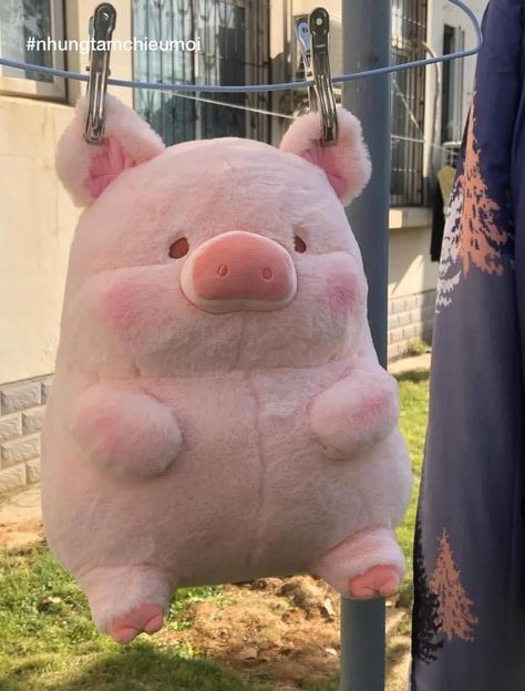 Pig Plushie Aesthetic, Cute Stuffed Animals Plushies, Pig Stuffed Animal, Stuffed Pig, Pig Plushie, Stuff Animals, Cute Squishies, Cute Pig, Kawaii Plush