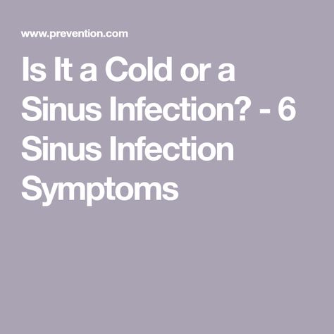 Is It a Cold or a Sinus Infection? - 6 Sinus Infection Symptoms Natural Remedies For Sinus Infection, Sinus Infection Symptoms, Remedies For Sinus Infection, Sinus Drainage, Healing Together, Sinus Health, Remedies For Allergies, Sinus Infection Remedies, Chronic Sinusitis