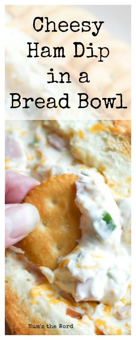 This Cheesy Ham Dip in a Bread Bowl is one that party guests go crazy for! A great way to use up leftover ham, this hearty dip is easy to make and packed with flavor. #appetizer #snack #dip #partydip #breadbowl #ham #leftoverham #cheesy #hamdip #hamandche Ham Dip, Bread Bowl Dip, Ginger Ale Recipe, Fried Cheese Curds, Cheesy Ham, Fried Cheese, Yummy Dishes, Potluck Party, Bread Bowl