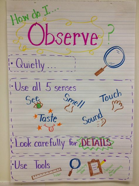 Science Observers Anchor Chart Preschool Anchor Charts, Science Lessons For Preschool, Science Chart, Kindergarten Anchor Charts, Science Anchor Charts, Second Grade Science, Science Writing, 1st Grade Science, Classroom Anchor Charts