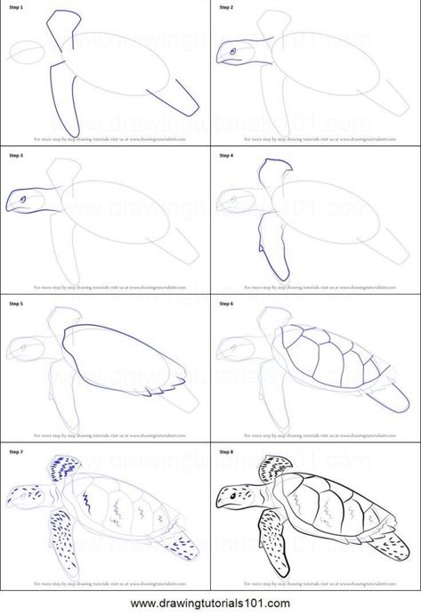 Hawksbill Turtle Drawing, How To Draw Sea Turtle Step By Step, Turtle Drawing Tutorial, Sea Turtle Watercolor Painting Tutorial, How To Draw A Turtle Step By Step, Sea Turtle Drawing Sketches, How To Draw A Turtle, How To Draw Sea Creatures, How To Draw Turtle