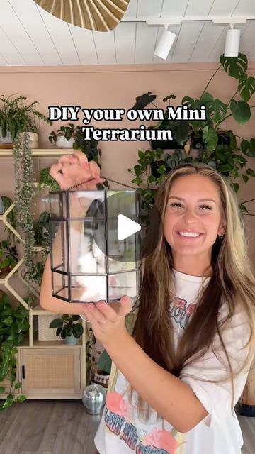 Bottle Terrarium Diy, Terrarium Aesthetic, Plant Terrarium Diy, Making A Terrarium, Tillandsia Terrarium, Water Terrarium, Bottle Terrarium, Self Sustaining, Plants Diy