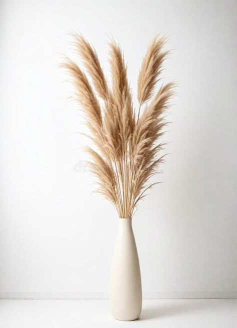 Tan vase with feathers and pampas on it royalty free stock image Pampas Grass Vase Arrangement, Vase With Feathers, Running Decorations, Vase With Pampas, Accessories Minimal, Pampas Grass Vase, Dinner Decoration, Vase Arrangements, Pampas Grass