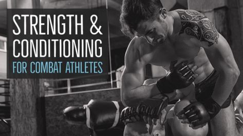 Muay Thai Strength And Conditioning, Combat Strength Training, Wrestling Workout, Strength And Conditioning Workouts, Strength And Conditioning Coach, Strength And Conditioning, Building Strength, Training Routine, Muscular Endurance