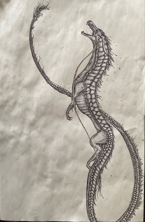 European lung sketch Lung Dragon, Pen Sketch, Mythical Creatures, Scales, Sketch, Pen, Quick Saves