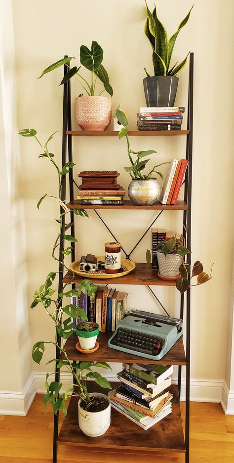 Busy Walls Decor, Single Bookshelf Styling, Retro Shelf Decor, Plant Bookcase, Bookshelf With Plants, Shelving Unit Decor, Apartment Shelves, Plant Bookshelf, Apartment Bookshelves