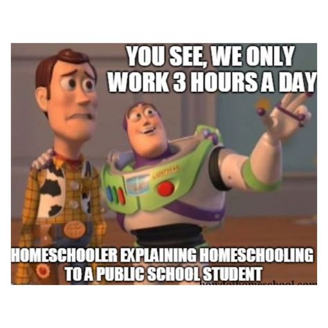 Homeschool Memes Humor, Homeschool Jokes, Homeschool Mom Humor, Funny Homeschool, Homeschool Humor, Kids Meme, Homeschool Quotes, Homeschool Kids, Relatable Stuff