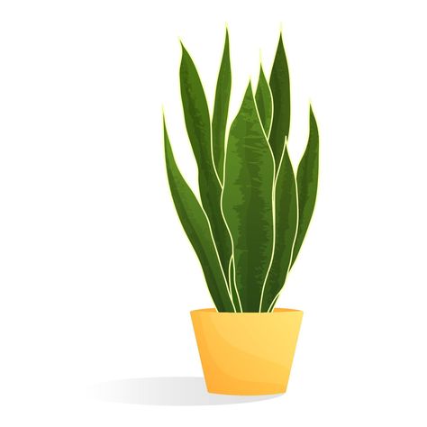 Cartoon plant in pot. Sansevieria. Isolated vector illustration Plant Pot Illustration, Plant In Pot, Plant Clips, The Cartoon, Tall Plants, Plant Illustration, Potted Plants, Vector Art, Vector Illustration