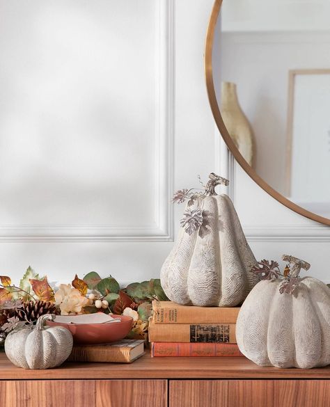 Balsam Hill on Instagram: “Bring the countryside indoors. Shop fall décor in our link in bio.⁠ ⁠ In photo: Faux Wood Pumpkins⁠ .⁠ .⁠ .⁠ .⁠ .⁠ ⁠ #BalsamHill #fall…” Slim Tree, Prelit Tree, Wood Pumpkins, Pumpkin Fall Decor, Pumpkin Decor, Harvest Season, Candle Flames, Tree Shapes, Fall Decorations