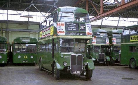 Rt Bus, London Country, Buses And Trains, Best Muscle Cars, London Transport, Bus Coach, London Bus, Modern Technology, Buses