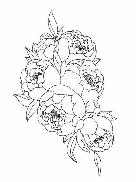 Peony Doodle, How To Draw Peonies, Peony Drawing, Flower Line Drawings, Peonies Tattoo, Floral Drawing, Deviant Art, 자수 디자인, Line Art Drawings