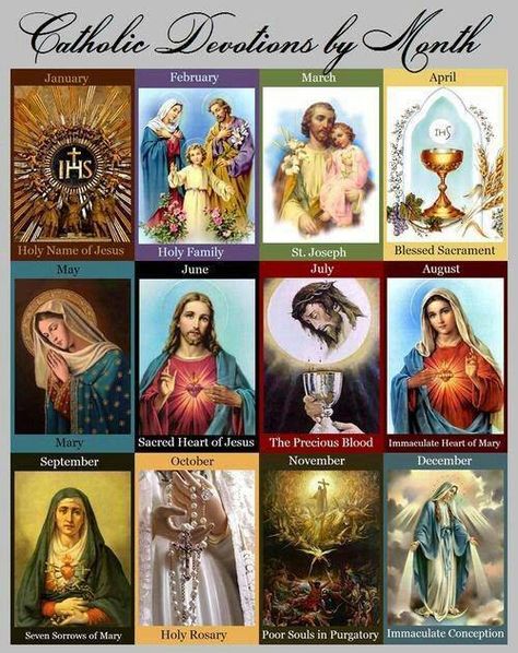 Catholic devotions by month Catholic Family, Faith Formation, Holy Rosary, Holy Mary, Religious Education, Daily Pictures, Catholic Prayers, Blessed Mother, Roman Catholic