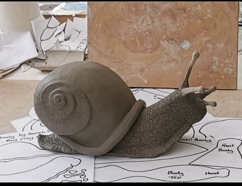 Snail Sculpture, Snail Shell, Free Tips, Mud Room, Instructional Video, Teaching Tools, Hand Built, Ceramic Sculpture, Sculptor