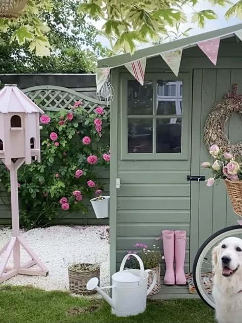 Country Garden Shed Ideas, Colourful Shed Ideas, Pink Shed Ideas, Garden Shed Paint Ideas, Paint Garden Shed, Painted Sheds Ideas Colour, Pink Shed, Painted Garden Sheds Ideas Colour, New Build Garden