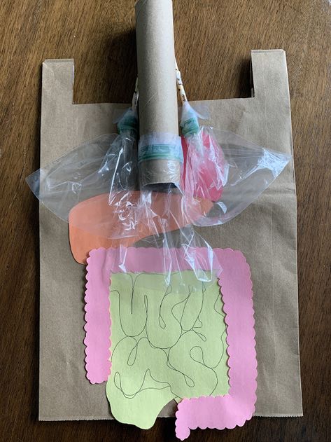 Help your child understand how the inside of our bodies work with this interactive internal organs bag! Internal Organs Activity, Math Card Games, Internal Organs, Our Body, Card Games, Science