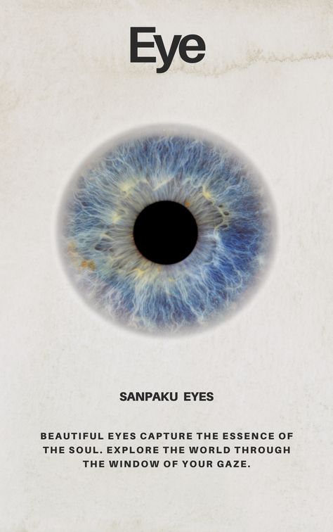 Sanpaku eyes Person Looking Up Reference From Above, Sanpaku Eyes, Parts Of The Eye, Red Panda, Art Poses, Eye Art, The Eye, Looking Up, The White