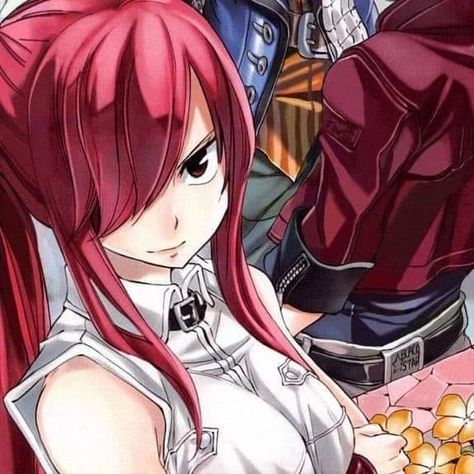 join the discord server for more icons + community ♡ Erza Scarlet Icon, Erza Scarlett, Fairy Tail Pictures, Fairy Tail Girls, Fairy Tail Art, Matching Icons 3, Matching Anime, Erza Scarlet, Fairy Tail Anime