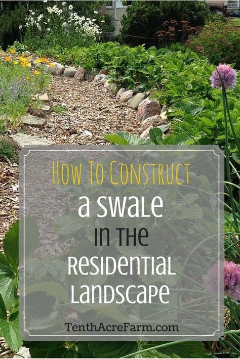 How to Construct a Swale in the Residential Landscape: Capturing water in the landscape is often the easiest and most efficient way to store it. Swales help us do that. Learn how to choose the best site for a swale and how to build one.: Diy Drainage Swale, Yard Drainage, Permaculture Garden, Water Harvesting, Rain Gardens, Residential Landscape, Drainage Solutions, Permaculture Gardening, Permaculture Design