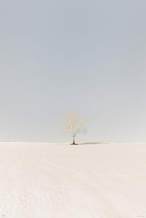 Large Scale Art, Minimal Photo, Scale Art, Minimal Photography, Minimalist Photos, Art And Photography, Minimal Aesthetic, Minimalist Photography, Minimal Art