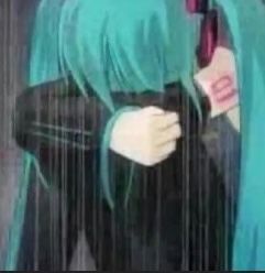 Hatsune Miku Original, Miku Original, Rain Meme, Vocaloid Funny, Original Song, Silly Me, Literally Me, Hatsune Miku, Reaction Pictures