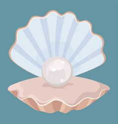 Clam Illustration, Clam Drawing, Seashell With Pearl, Seashell Drawing, Drawing For Children, Clam Pearl, Pearl Seashell, Shell Drawing, Pearl Background