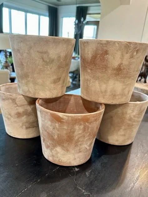 5 Secrets to Aging Terra Cotta Pots with Lime: HOW I DID IT — Hey Honeysuckle Aging Terra Cotta Pots, Terra Cotta Plant, Diy Terra Cotta Pots, Terra Cotta Pots, Painted Pots Diy, Paper Bowls, Easy Art Projects, Clay Pot Crafts, Garden Containers