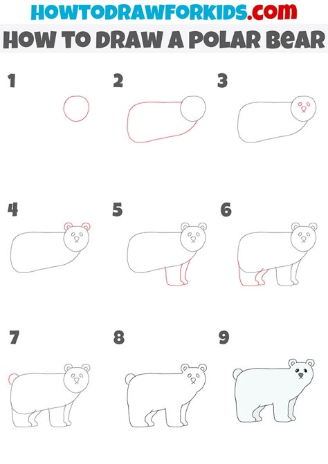 Draw A Polar Bear, How To Draw A Polar Bear, How To Draw A Polar Bear Step By Step, Polar Bear Drawing Easy, Polar Bear Drawing Step By Step, Draw Polar Bear, Drawing A Polar Bear, How To Draw A Bear, Drawing Polar Bear