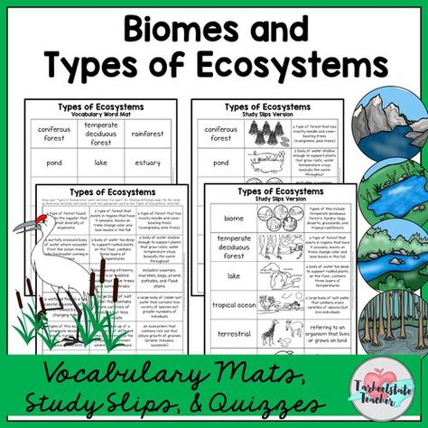 FREE RESOURCE LIBRARY-Tarheelstate Teacher Ecology Lessons Middle School, Ecosystem Bulletin Board, Types Of Ecosystems, Ecology Activities, Teaching Ecosystems, Kingdom Classification, Ecosystem Activities, Cells Worksheet, Science Anchor Charts