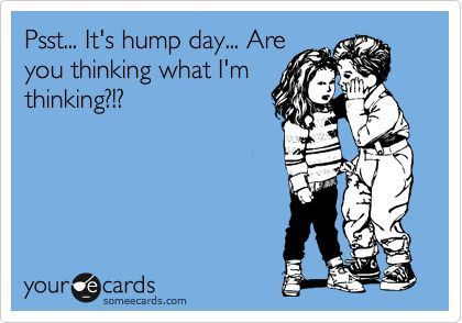 Psst...+It's+hump+day...+Are+you+thinking+what+I'm+thinking?!? Funny Wednesday Memes, Hump Day Meme, Hump Day Quotes, Wednesday Hump Day, Hump Day Humor, What Day Is It, Funny As Hell, Hump Day, E Card