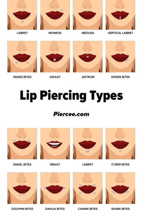 Lip Piercing Names, Guys With Lip Piercings, Piercing No Rosto, Different Lip Piercings, Lip Piercing Stud, Lip Piercing Labret, Piercing Guide, Spiderbite Piercings, Piercing Girl