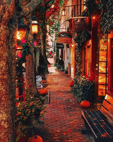 Anar - Simply Unique Space on Instagram: “Cozy fall streets of Nantucket 🍁My city isn’t that pretty in fall. Where have you seen most beautiful fall? Quebec was the most gorgeous…” Cozy Fall Asthetic Photos, Romance Bookstore, Fall Ambiance, Autumn House, Fall Outside, Fall Scenery, Autumn Cottage, Autumn Street, Fall Lovers