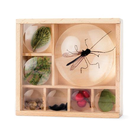 Great Outdoors Bug Box Magnifying Display Bug Terrarium, Bug Box, Fort Kit, Lab Decor, Diy Art Supplies, Insect Box, Nature Journaling, Magnifying Lens, Gifts 2022