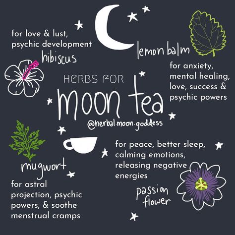 MOON TEA 🌙☕⁠⠀ With the full moon tonight/tomorrow night, it's the perfect time to make some potent moon tea!⁠⠀ .⁠⠀ Use your favourite… Moon Tea Recipe, Spreads Tarot, Moon Tea, Full Moon Tonight, Mental Healing, Healing Tea, Eclectic Witch, Book Of Shadow, Witchcraft For Beginners