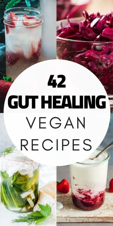 42 AMAZING Vegan & Gluten-Free Gut Healing Recipes, How to Improve Gut Health , Probiotic and Prebiotic Rich Foods, Health Benefits + MORE can all be found in this gut healing vegan recipe round-up! #guthealth #guthealing #veganprobiotics #prebiotics #fermentation #pickles #veganguthealth #glutenfreeprobiotics #probioticrecipes #guthealingrecipes @moon_spoon_yum Probiotic And Prebiotic, Prebiotic Probiotic, Vegan Probiotics, Gut Healing Recipes, Probiotic Benefits, Gut Health Recipes, Healing Recipes, Probiotic Foods, Improve Gut Health