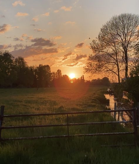 Sunset Over A Field, Shoot Concept, Sunset Field, Field Fence, Dream Horse Barns, Photoshoot Locations, Fall Mood Board, Farm Field, Alex G