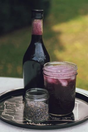 Drinking Shrubs, Lavender Shrub, Concord Grape Recipes, Shrub Drink, Fermented Beverages, Shrub Recipe, Nonalcoholic Drinks, Homemade Ingredients, Boat Drinks