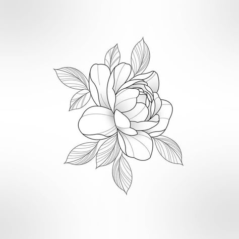 Gardenia Tattoo, Peony Flower Tattoos, Peony Drawing, Yakuza Tattoo, Peonies Tattoo, Tatuaje A Color, Floral Tattoo Design, Floral Drawing, Design Drawings