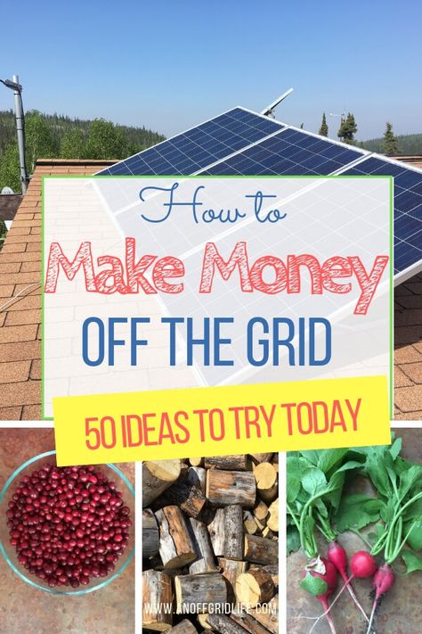 How to Make Money Off The Grid: 50 Ideas to Try Now | An Off Grid Life Aluminum Shingles, Preppers Survival, Grid Ideas, Homestead Blog, Off Grid Homestead, Raising Quail, Off Grid House, Homestead Life, Going Off The Grid