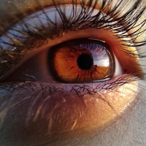 Brown Eye Close Up, Eye Closeup Photographs, Russet Eyes, Eye Close Up Photography, Brown Eye Aesthetic, Close Up Eye, Copper Eyes, Brown Eyes Makeup, Brown Eyes Aesthetic